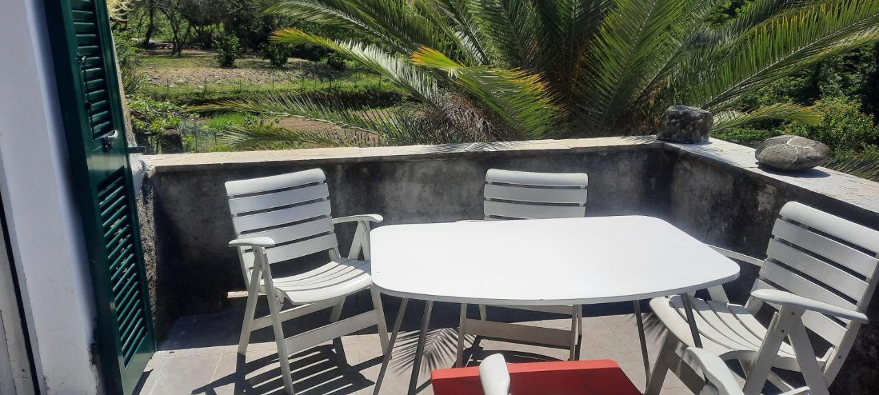 Vecchio Mulino Fontona Girasole Apartment Chiesanuova  Ngoại thất bức ảnh